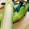 リピーター様。感謝価格《極甘の希少品種》白いとうもろこしクリスピーホワイト 