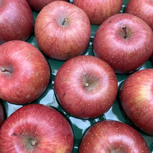 青森県産サンふじりんご！訳あり5キロ20個入り
