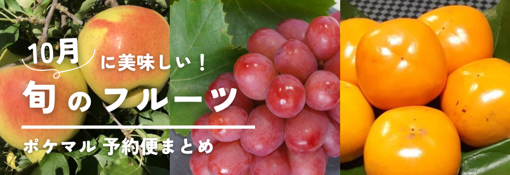 ずっと気になってた ☆大人気☆テキーラボール 回ん 10袋100個 ミックス その他
