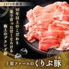 宮崎県産 豚ロース スライス 1kg【200ｇ×5パック】