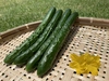まっすぐ！シャキッと新鮮きゅうり５kg【野菜ソムリエサミット銀賞受賞】