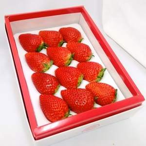 【いちごの里】スカイベリー（12～15粒入）【贈答用にもオススメ】