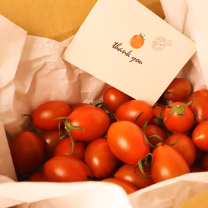 【3kg×3箱】新鮮とれたて！　シシリアンルージュ《旨みたっぷり》