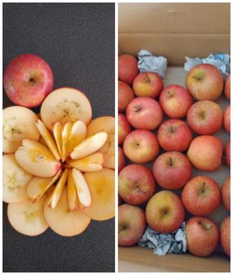 みんなの投稿の画像