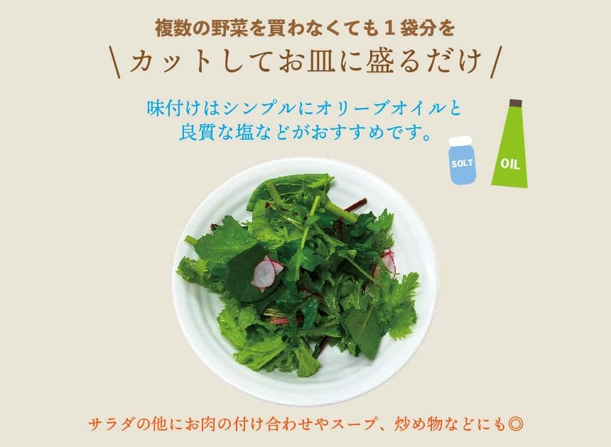 無農薬野菜詰め合わせrestaurant salad 農薬不使用　サラダ野菜詰め合わせ　①本日限定