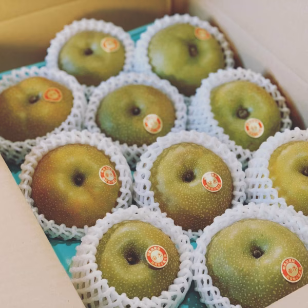 「小塩辻産 加賀梨」 幸水、豊水 ５㎏箱