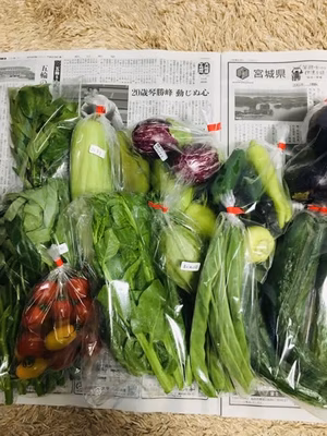 みんなの投稿の画像