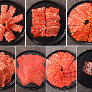 【29の日】＼春のお花見！焼肉祭り／ いろいろ食べ比べ７種セット（1.2kg）