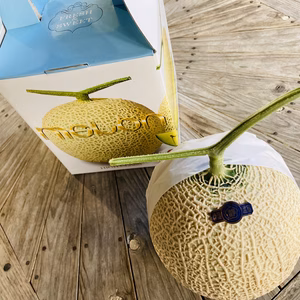お中元・夏ギフト　甘さあふれる！マスクメロン