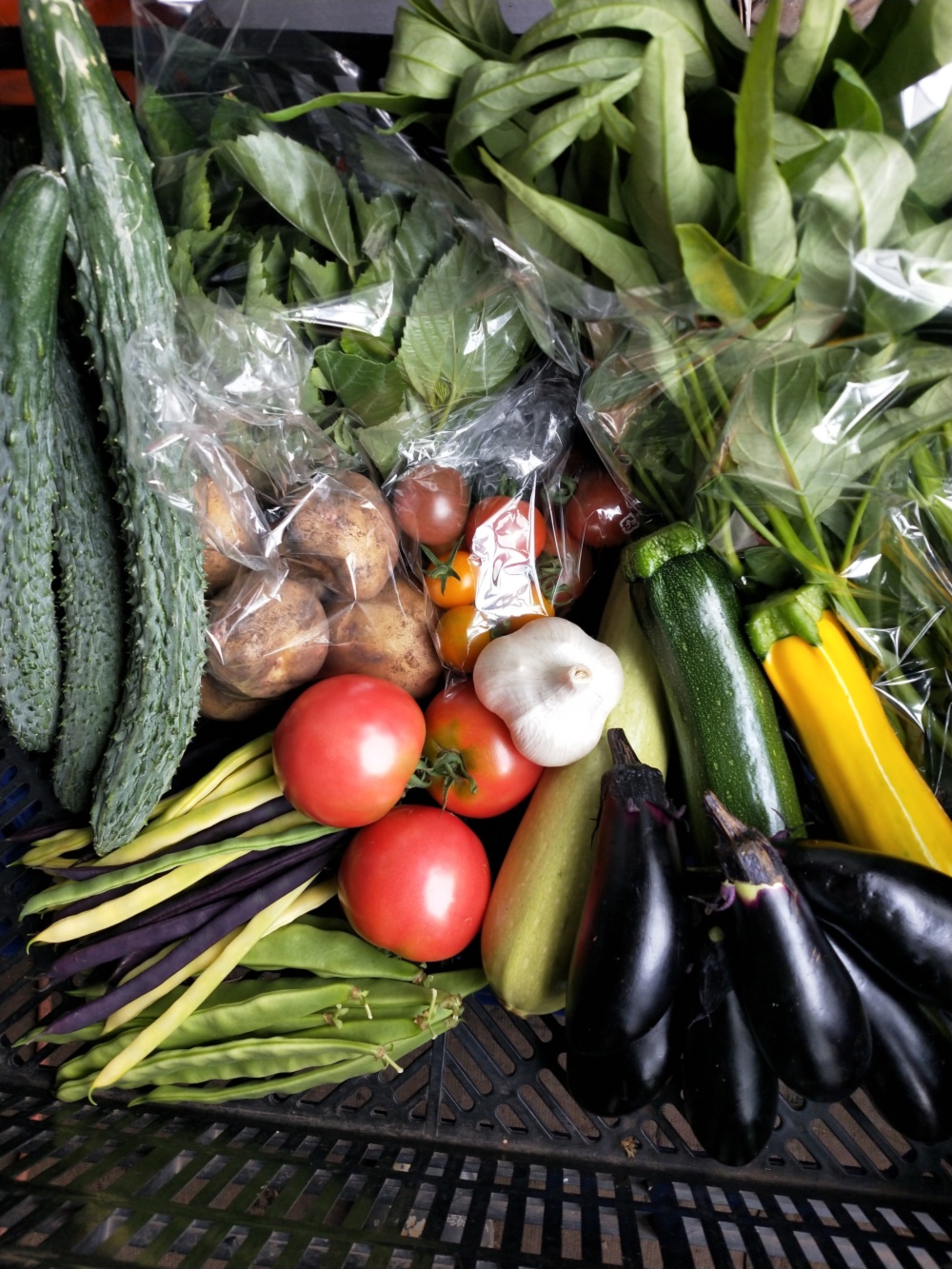 【農薬化学肥料不使用】❅冷蔵❅季節の野菜セット