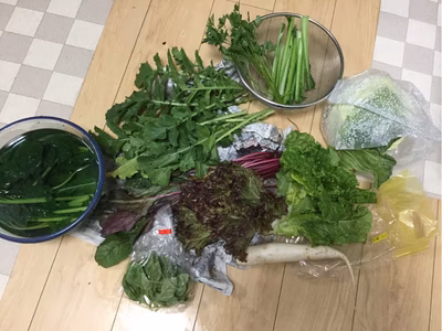 みんなの投稿の画像