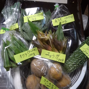 夏野菜の詰め合わせ