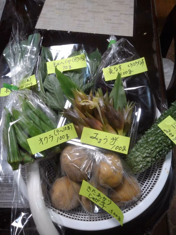 夏野菜の詰め合わせ