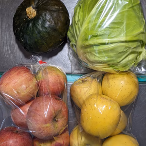 野菜と果物80サイズ