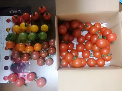 みんなの投稿の画像