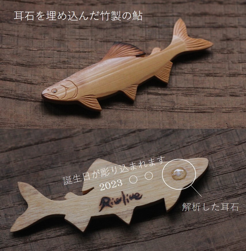 那珂川の天然鮎 10~15cm程度 若鮎 小サイズ 500g | 茨城県城里町
