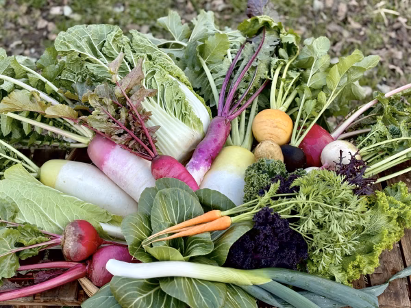 信州産｜モリモリ！冬野菜の玉手箱