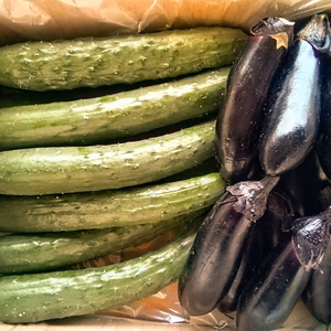 真仙中長小茄子と自根キュウリセット