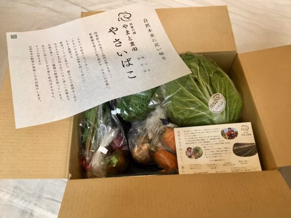 楽しい野菜の宝箱「やさいのこばこ」（Sサイズ）