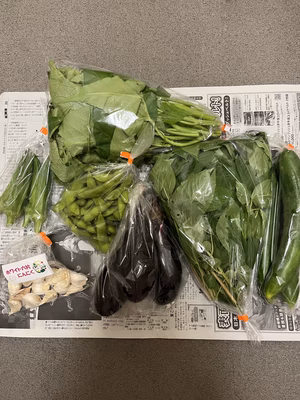 みんなの投稿の画像