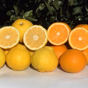 ★超特価　大人気★　はるか&スイートスプリング♬♬詰め合わせ（М～３Ｌミックス）