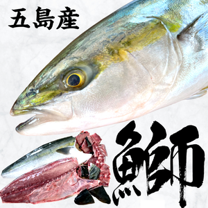 神経締めはまち　三枚下ろし