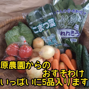 【お得な野菜セット5品✨】お野菜セット 冷蔵便