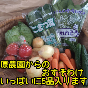 【お得な野菜セット5品✨】お野菜セット 新高梨
