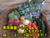 【お得な野菜セット5品✨箱いっぱい‼️*】お野菜セット 常温便