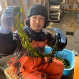 山本幸典 | コウ夫婦