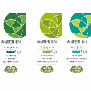 山の奥地のお茶　白川茶　品種茶で飲み比べ　自然環境が厳しいけど、心には優しいです