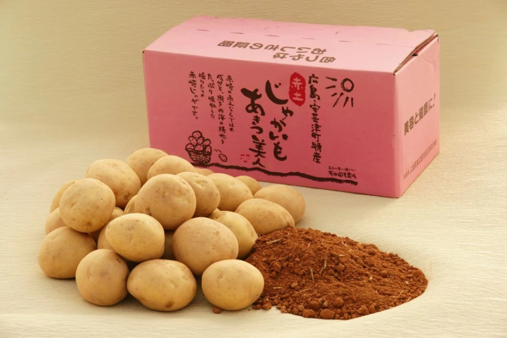 赤土じゃがいも　あきつ美人　訳あり商品　3Lサイズ　4キロ1200円～　