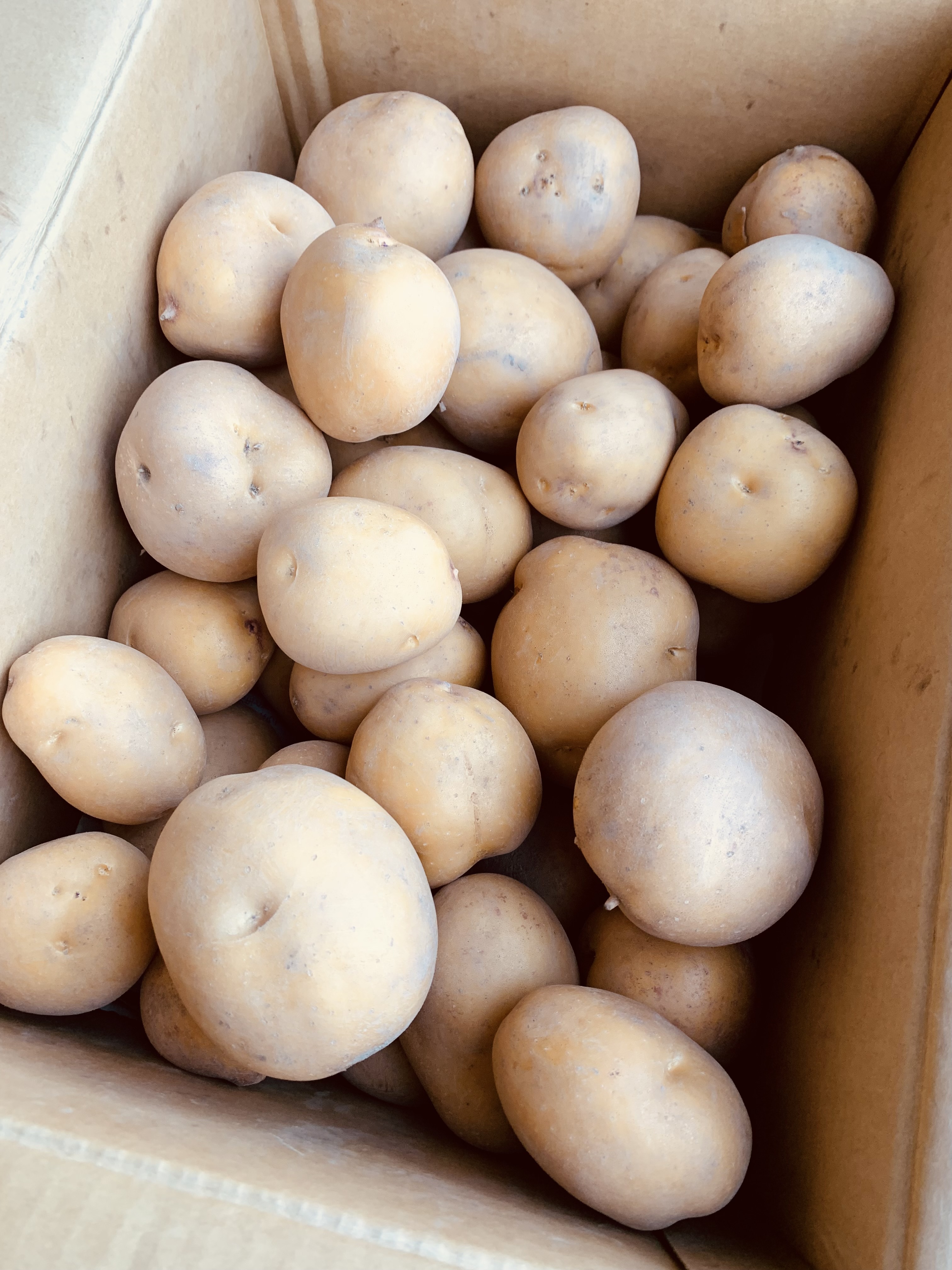 じゃがいもの通販・お取り寄せ商品｜野菜｜ポケットマルシェ｜産地直送