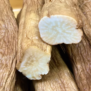 「生」いぶりがっこ！冬しか食べられないお漬物！ポスト投函でのお届け