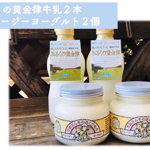 【満足セット】ジャージーヨーグルト500g×2個、低温殺菌牛乳900ml×2本