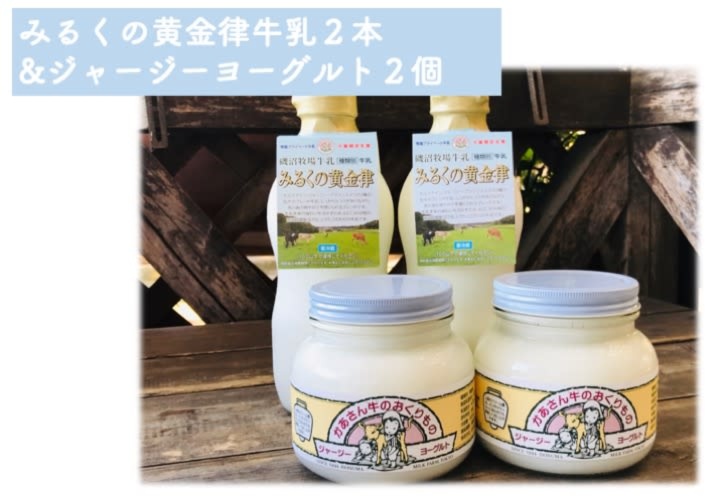 満足セット ジャージーヨーグルト500g 2個 低温殺菌牛乳900ml 2本 農家漁師から産地直送の通販 ポケットマルシェ