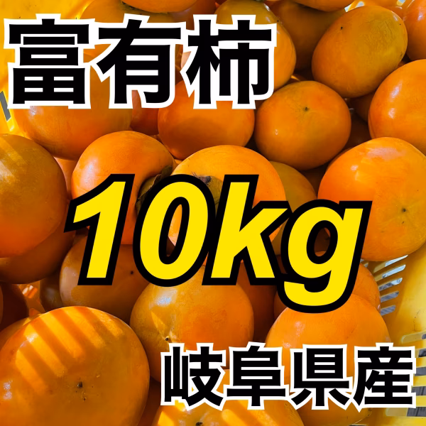 甘さたっぷり‼️富有柿家庭用10kg詰め合わせ⭐️産地直送
