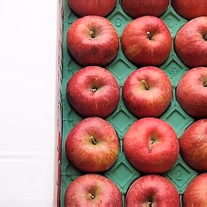 かぐや姫印　特別栽培完熟サンふじ羽山りんごMサイズ５ｋｇ