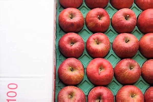 かぐや姫印　特別栽培完熟サンふじ羽山りんごMサイズ５ｋｇ