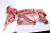 北海道・千歳産テクセル羊肉　1/2頭（半身）・チルドのまま直送