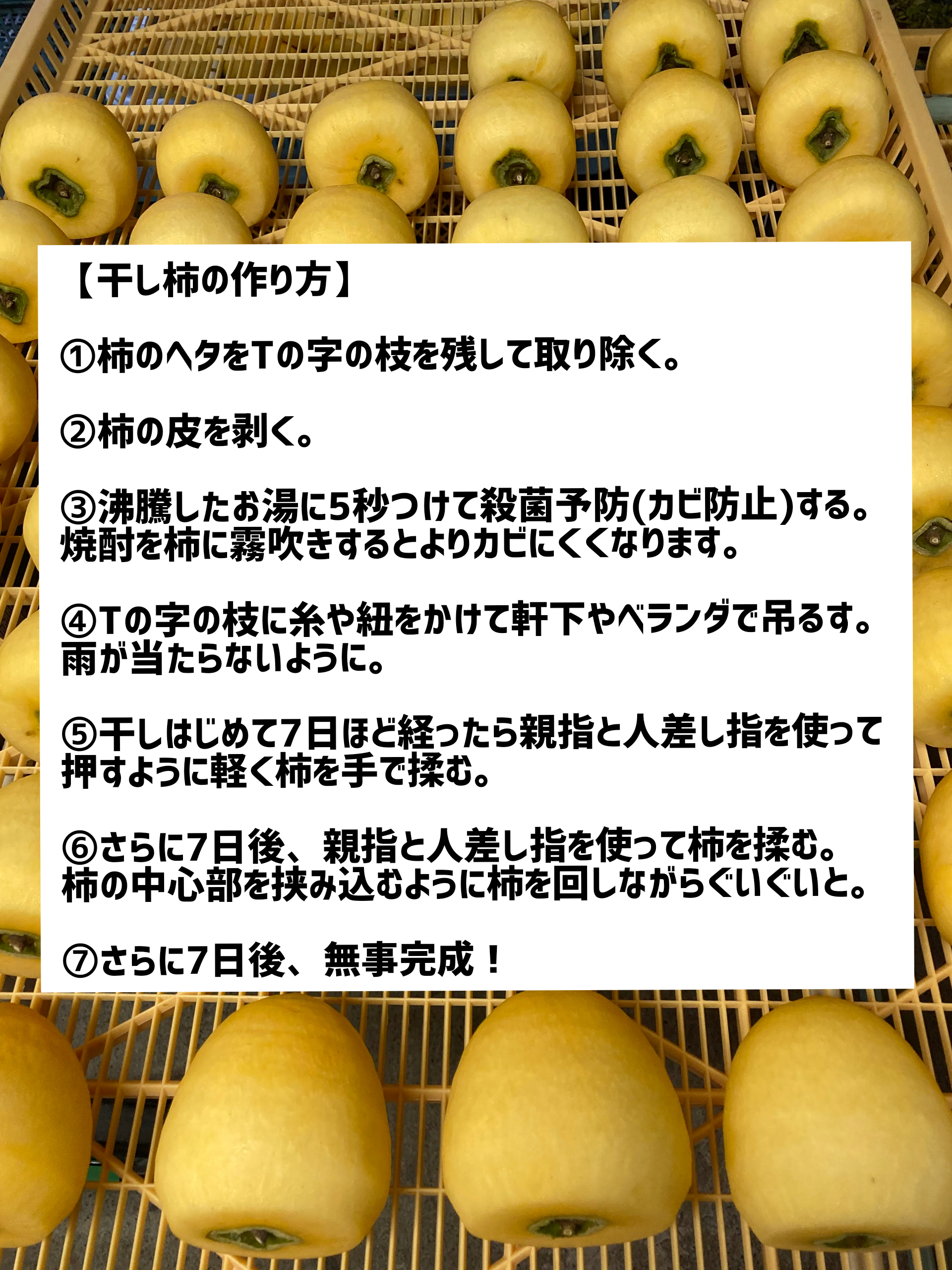 渋柿 干し柿用5kg 農薬不使用渋柿 - 果物