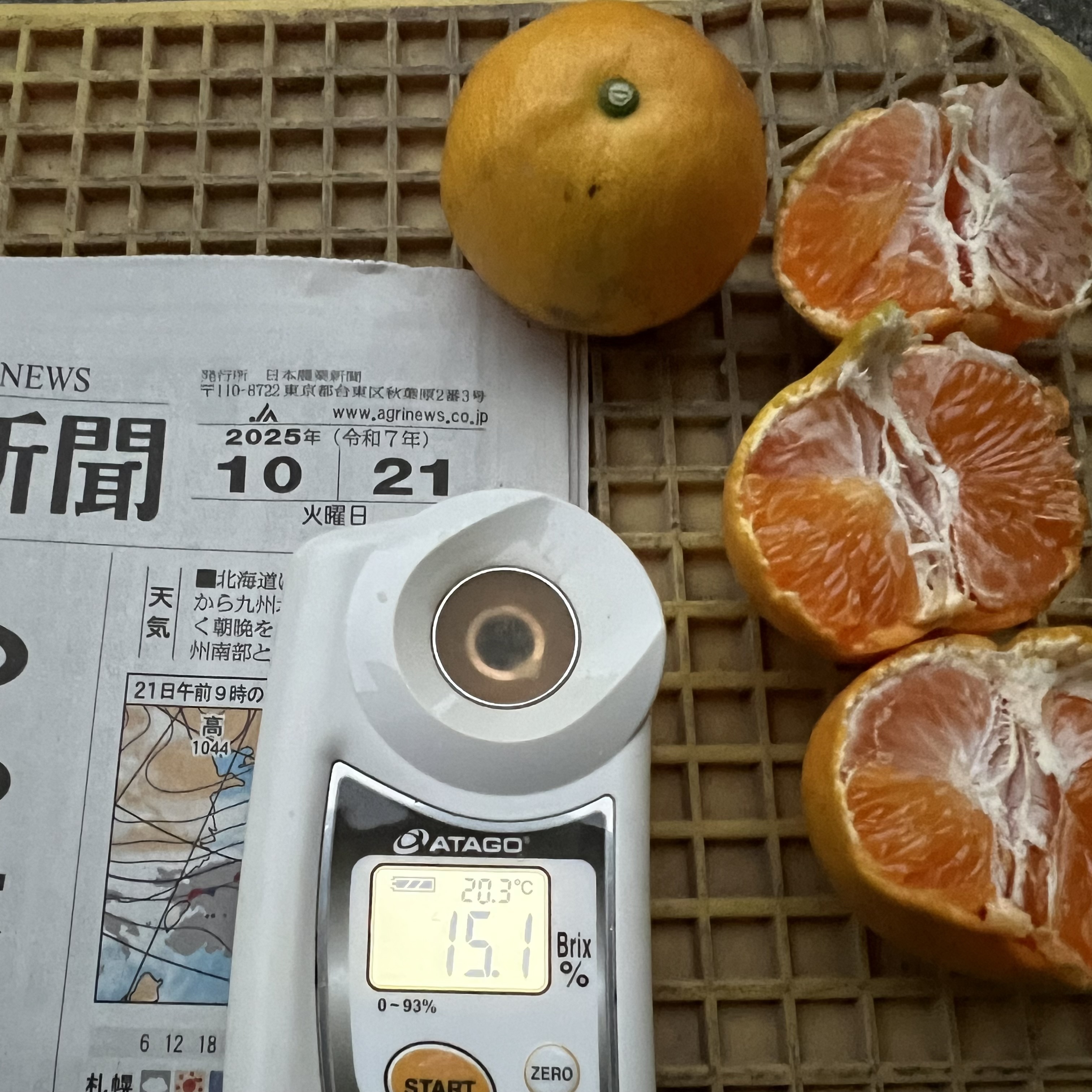 温州みかん[ゆら早生みかん][極早生][高糖度] 箱込2kg