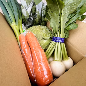 【数量限定】65年以上続く自然農法の旬野菜6点セット！