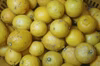 【農薬不使用】無農薬レモン ちょいワル