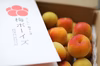 【生で食べられるほど完熟梅】熟して自然落下した南高梅をその日に発送します。