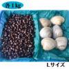 しじみ1kg + ホンビノス貝1kg【お得セット】