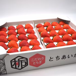 『とちあいか』ソフトパック