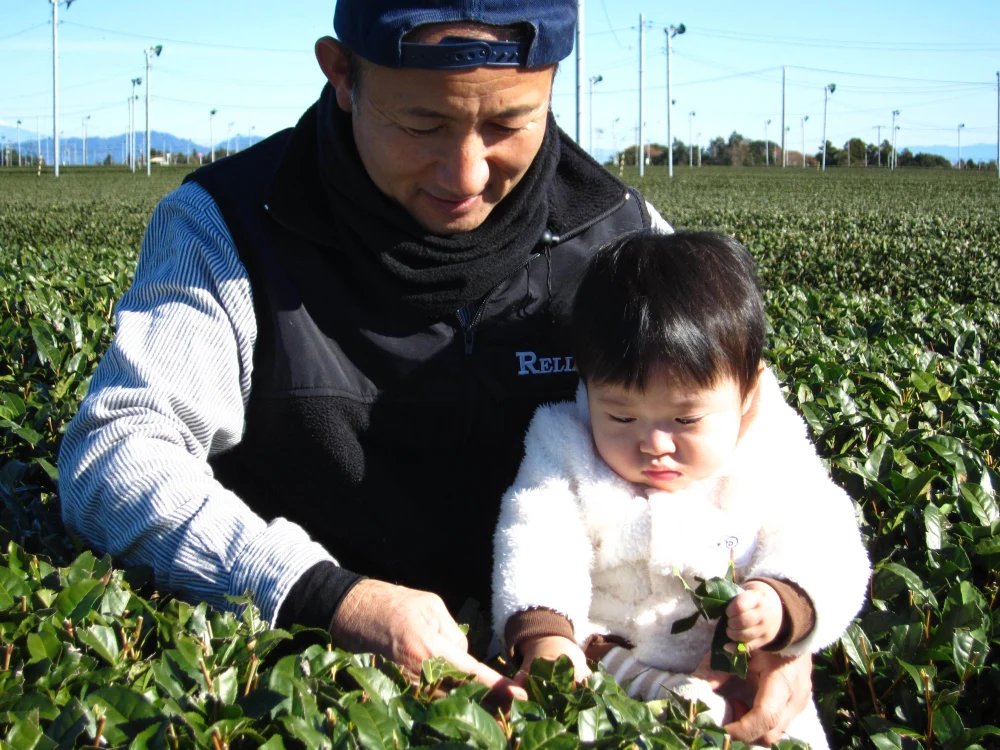 旨みたっぷりの良質な茎「かりがね」焙煎茎茶です。