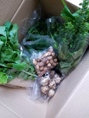 みんなの投稿の画像