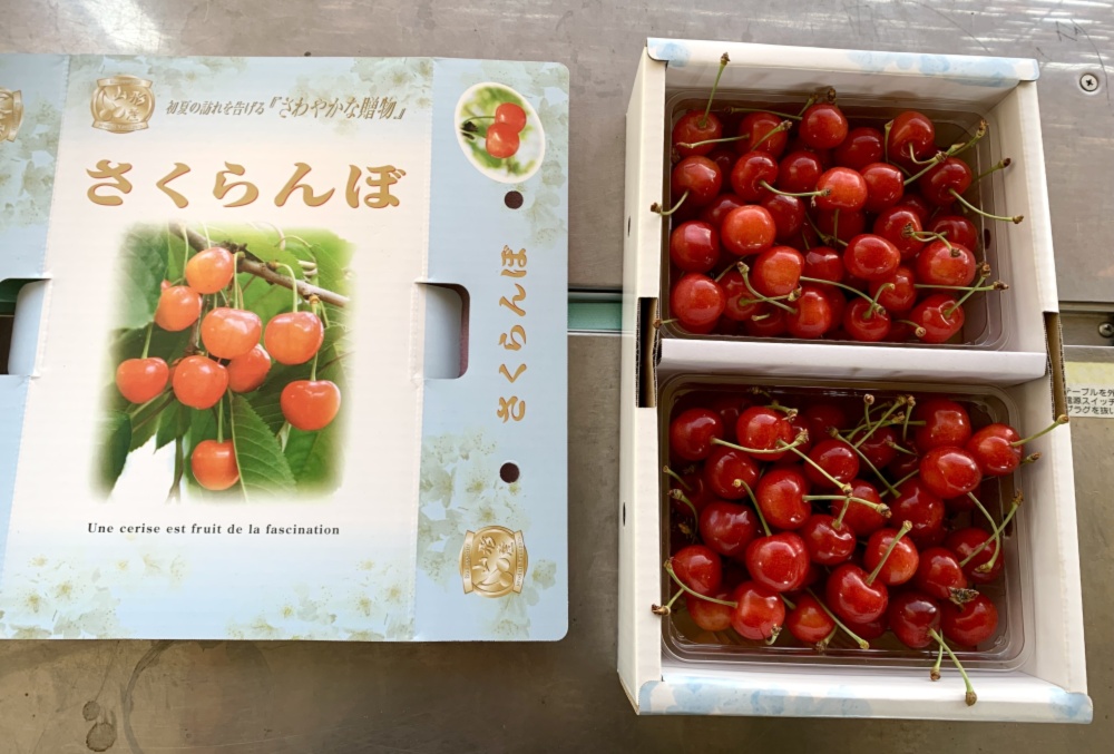 佐藤錦』家庭用 ばら詰め｜さくらんぼの商品詳細｜ポケット